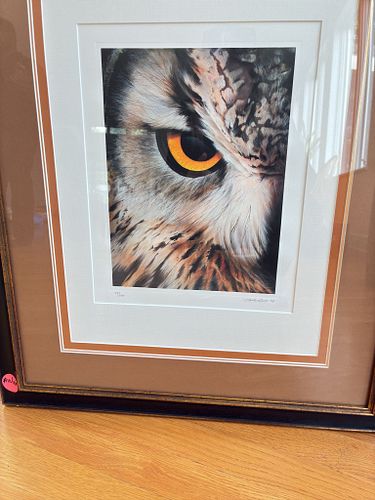 Lot #159 (1 of 4)