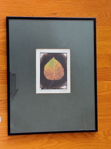 Lot #195 (1 of 3)
