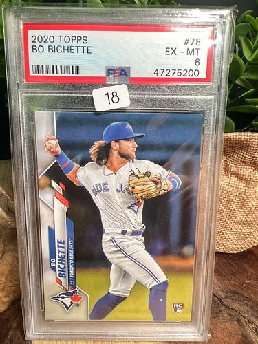 Lot #10 (1 of 3)