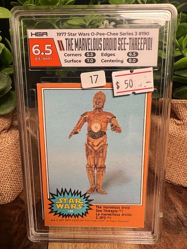 Lot #17 (1 of 2)