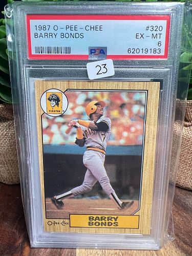 Lot #23 (1 of 2)