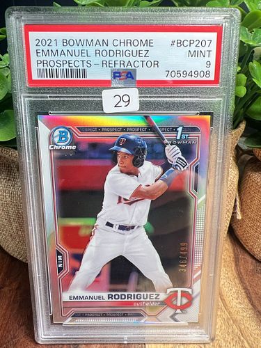 Lot #29 (1 of 2)