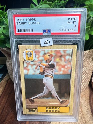 Lot #40 (1 of 2)
