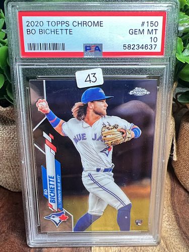 Lot #43 (1 of 2)