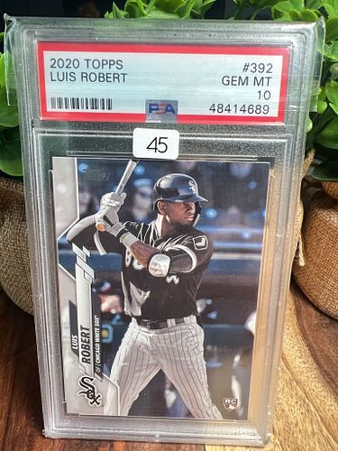 Lot #45 (1 of 2)