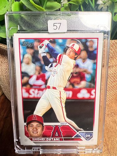 Lot #57 (1 of 2)