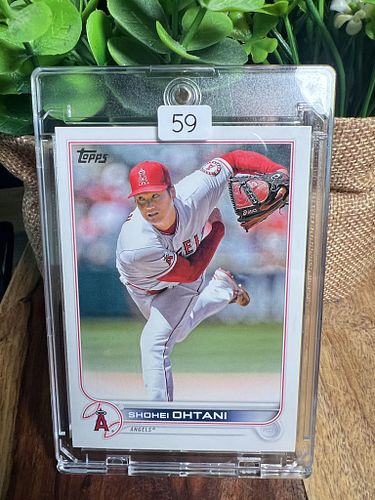 Lot #59 (1 of 2)