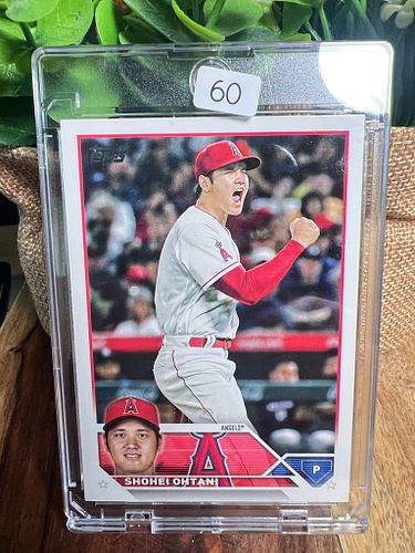 Lot #60 (1 of 2)