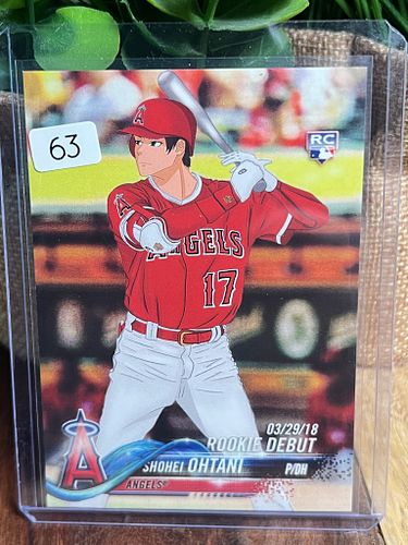 Lot #63 (1 of 2)