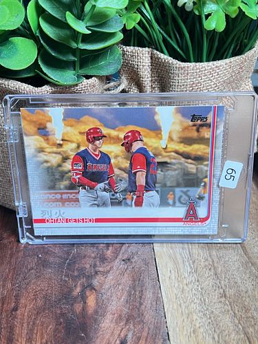 Lot #65 (1 of 4)