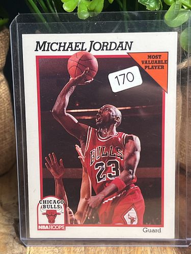 Lot #170 (1 of 2)