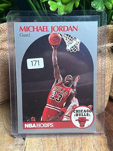 Lot #171 (1 of 3)