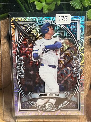 Lot #175 (1 of 2)