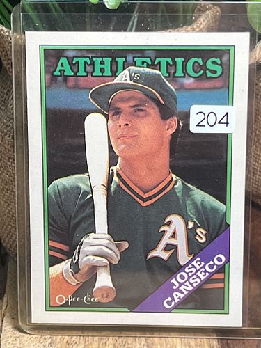 Lot #204 (1 of 2)