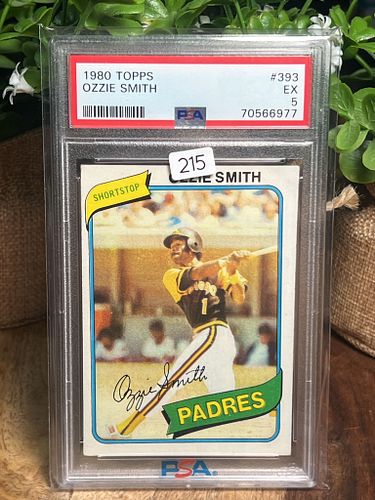 Lot #215 (1 of 2)