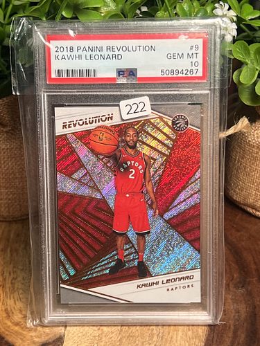 Lot #222 (1 of 3)