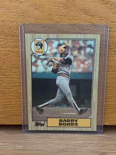 Lot #40 (1 of 5)