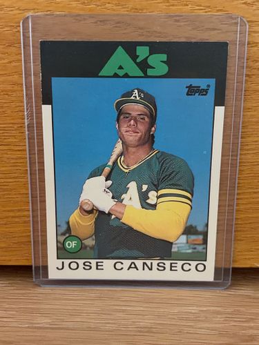 Lot #43 (1 of 5)