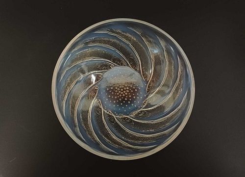 Lot #42 (1 of 6)