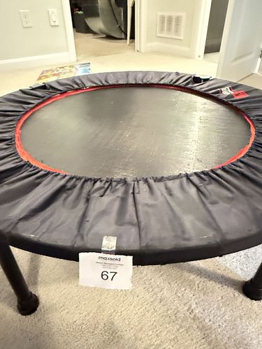 Lot #67 (1 of 3)