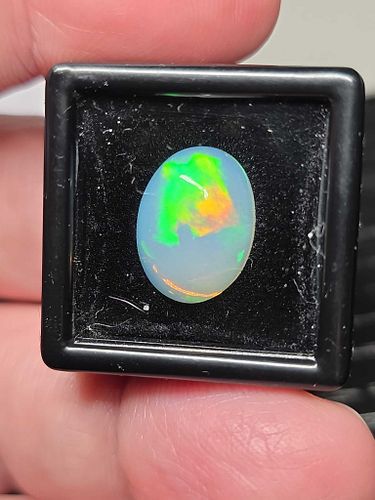 Lot #6 (1 of 13)