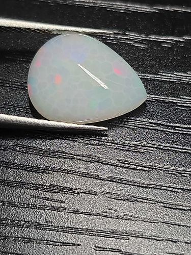 Lot #9 (1 of 15)