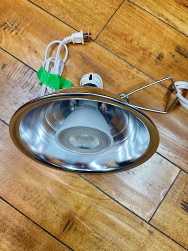 Lot #34 (1 of 5)