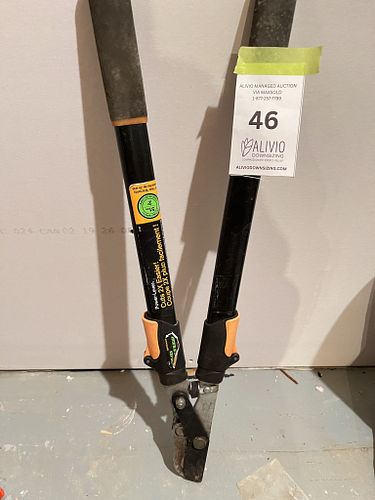 Lot #46 (1 of 2)