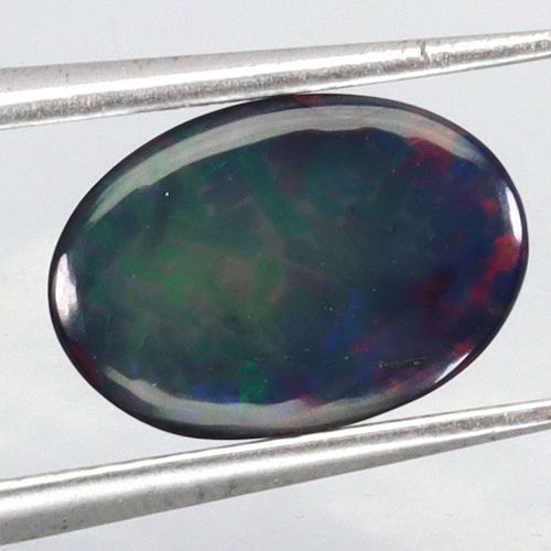 Lot #20 (1 of 3)