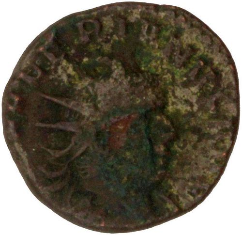 Lot #49 (1 of 3)
