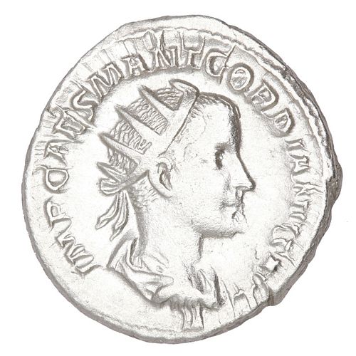 Lot #481 (1 of 3)