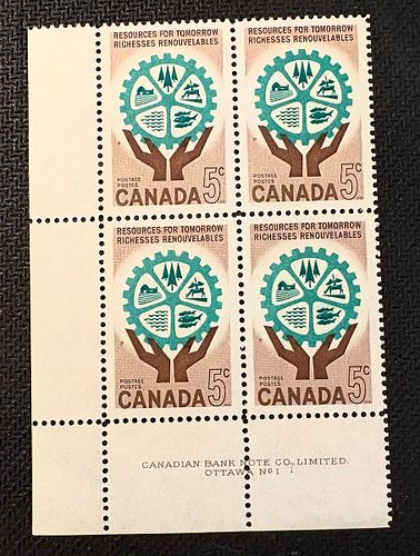 Lot #41 (1 of 3)