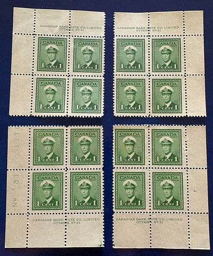 Lot #55 (1 of 3)