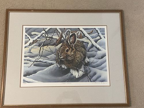 Lot #19 (1 of 3)
