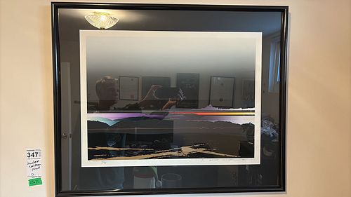 Lot #347 (1 of 7)