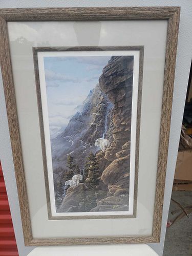 Lot #7 (1 of 5)