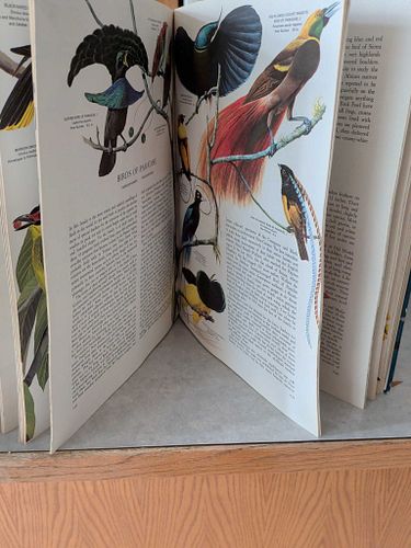 Lot #473 (1 of 3)