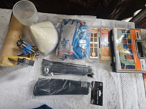 Lot #28 (1 of 12)
