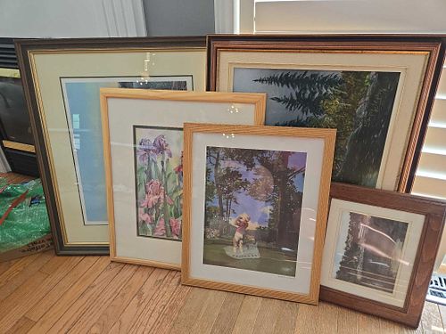 Lot #25 (1 of 13)