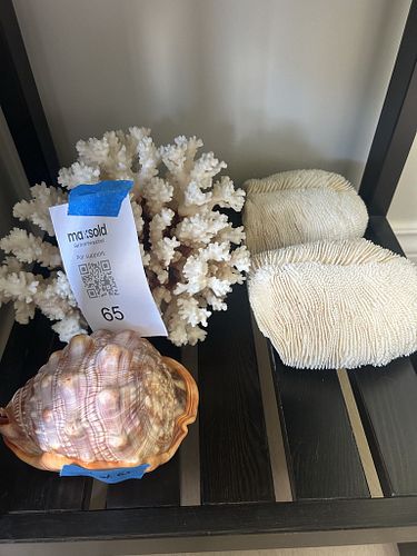 Lot #65 (1 of 7)