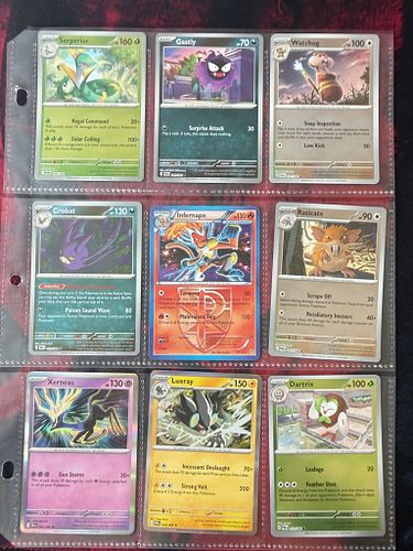 Lot #33 (1 of 11)