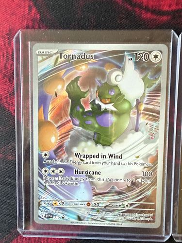 Lot #49 (1 of 6)
