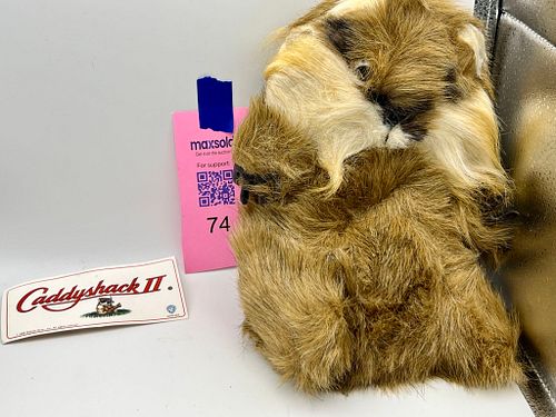 Lot #74 (1 of 15)