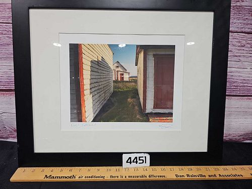 Lot #4451 (1 of 9)