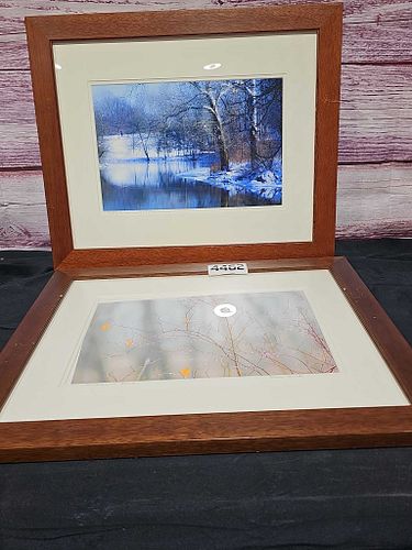 Lot #4462 (1 of 12)
