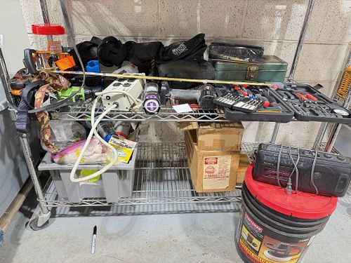Lot #4482 (1 of 10)