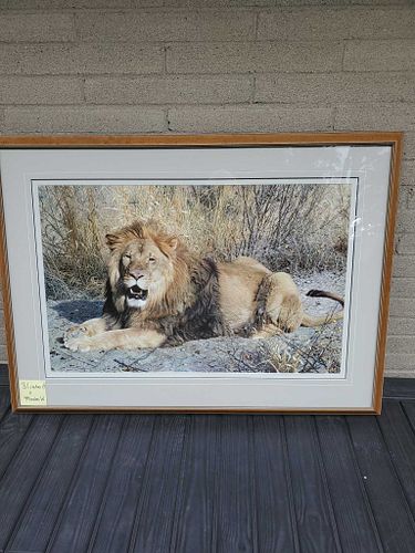 Lot #28 (1 of 11)