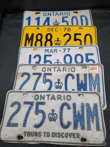 Lot #79 (1 of 3)