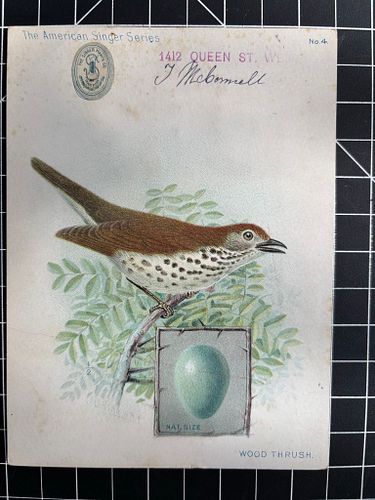 Lot #34 (1 of 5)