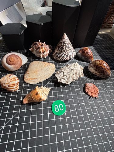Lot #80 (1 of 8)